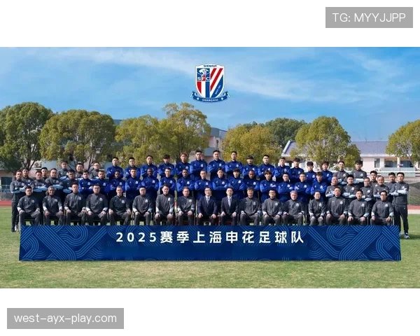 上海申花客场取分能力提升,近期比赛阵容表现趋于稳定 上海申花客场取分能力提升,近期比赛阵容表现趋于稳定