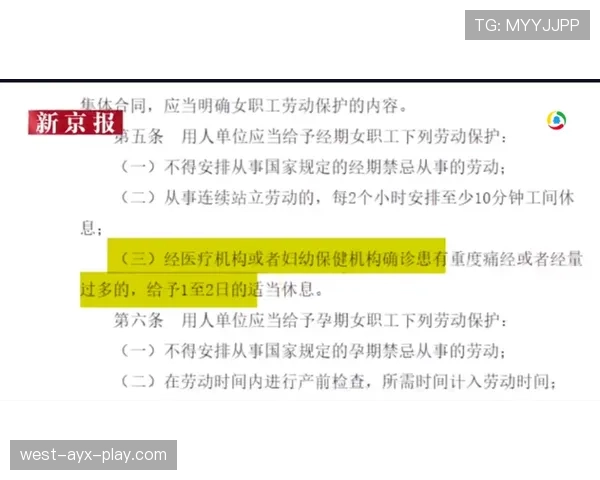 恢复比赛规则详解:裁判如何判定比赛何时重新开始 恢复比赛规则详解:裁判如何判定比赛何时重新开始